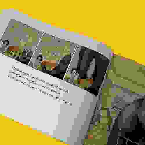 Gorila_Foto4