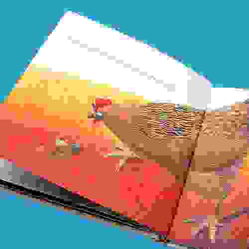 Formigavel_Foto4