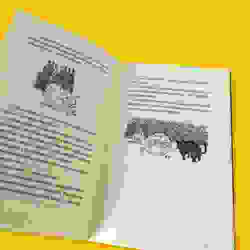 A história de uma gaivota Foto4