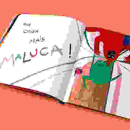 oSapoMacaco_Foto4