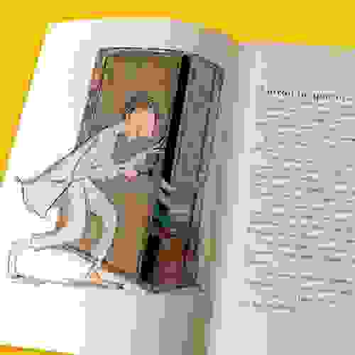 Meu pai é um homem-pássaro