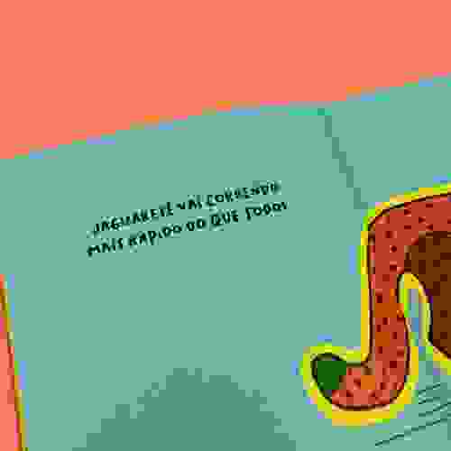 Tem Festa na Floresta Miolo 2