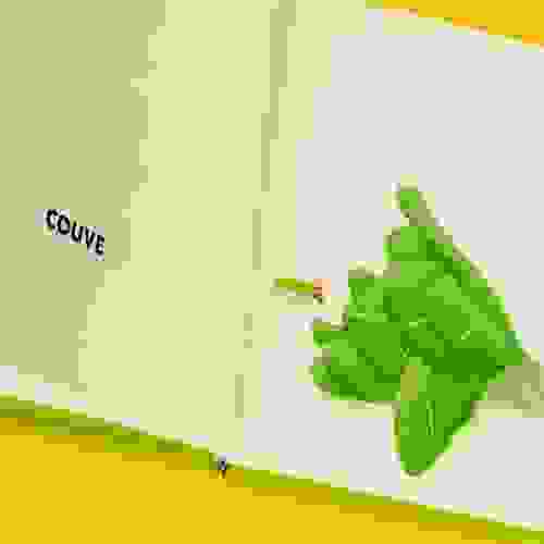 Verde Miolo 2