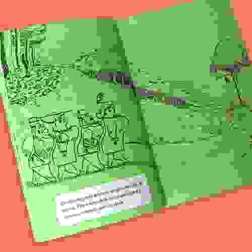 O gambá que não estava Foto4