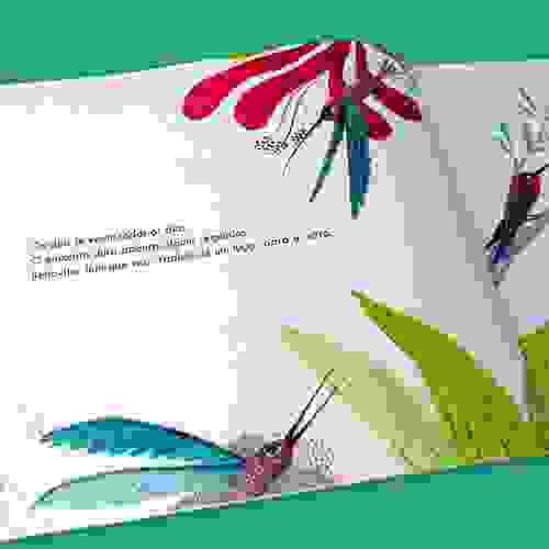 Verbena e Beija-flor Foto3