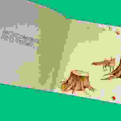 O que é isso miolo 2