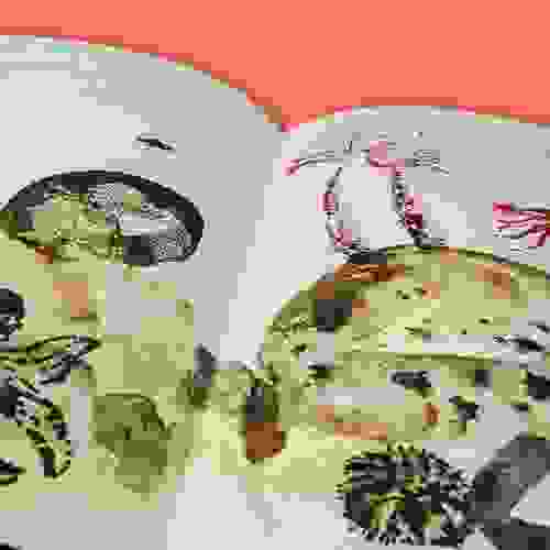 Foto 5 - Triz
