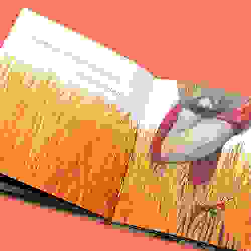 Formigavel_Foto5
