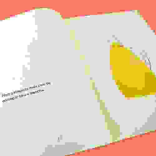 Catastrofe_Foto5