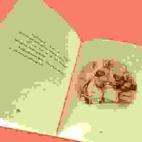 A história da Senhora Tiggy Tipico Foto5