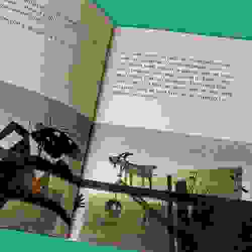 Os três bodes Gruff Foto5