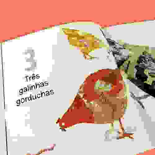 Uma raposa um livro de contar Foto5