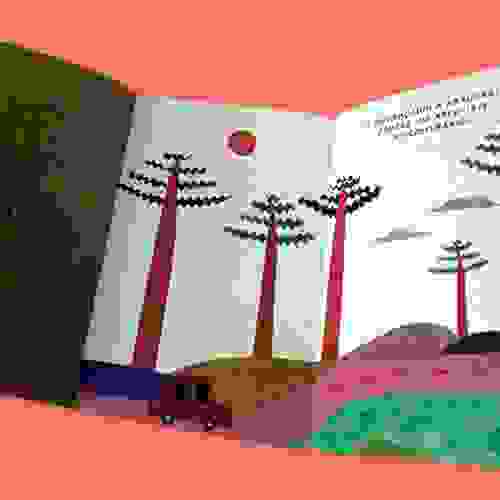 Ai tá chegando Foto5