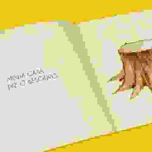 O que é isso miolo 3