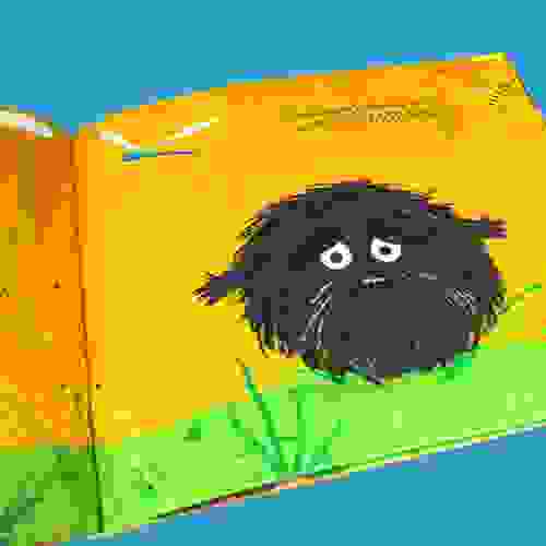 BichoBolota-Foto6