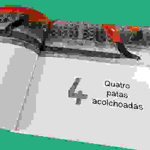 Uma raposa um livro de contar Foto6