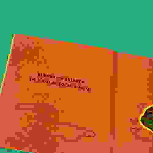 Tem Festa na Floresta Miolo 4