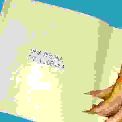 O que é isso miolo 4