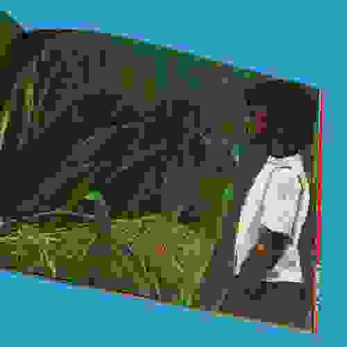 Chupim_Foto7