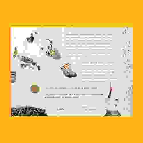 Astro Capa Verso