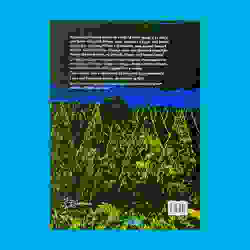 A incrível expedição dos robôs Capa Verso