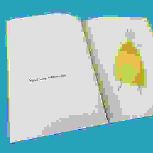 Catastrofe_Foto7