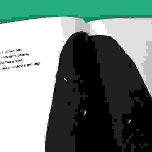 Cem sementes que voaram - Foto 6