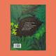 Imagem 7 do livro Uma volta na floresta Ampliar imagem 7 da capa do livro Uma volta na floresta