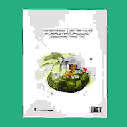 O pequeno príncipe - Capa Verso