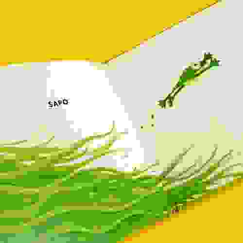 Verde Miolo 6