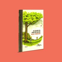 Capa do livro Os sábados são como um grande balão vermelho}