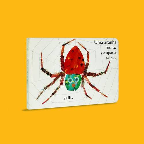 Capa Uma aranha muito ocupada