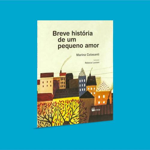 Capa Breve história de um pequeno amor