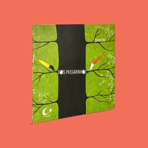 Capa do livro Dois passarinhos}