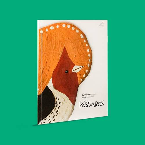 Capa Pássaros