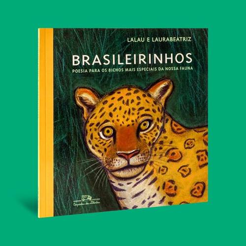 Brasileirinhos Capa 3D