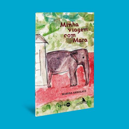 Minha viagem com Mara - Capa 3D