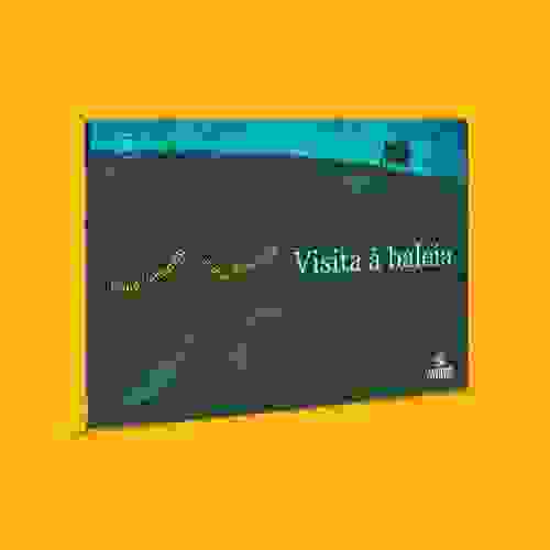 Capa Visita à baleia