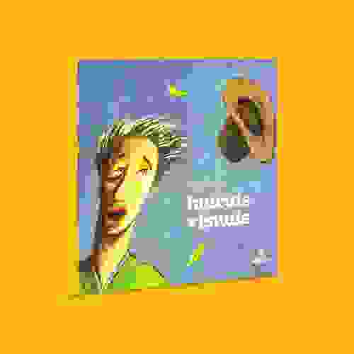 Capa Haicais visuais