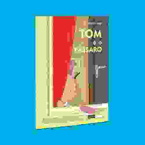 Capa Tom e o pássaro