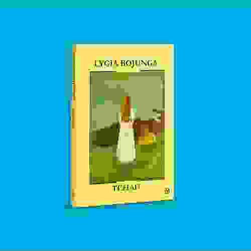 Capa Tchau