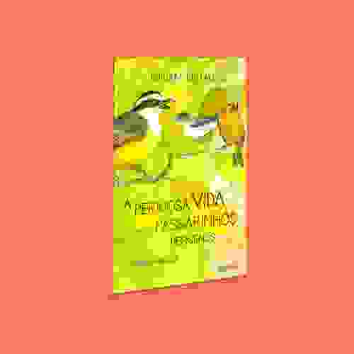 Capa A perigosa vida dos passarinhos pequenos