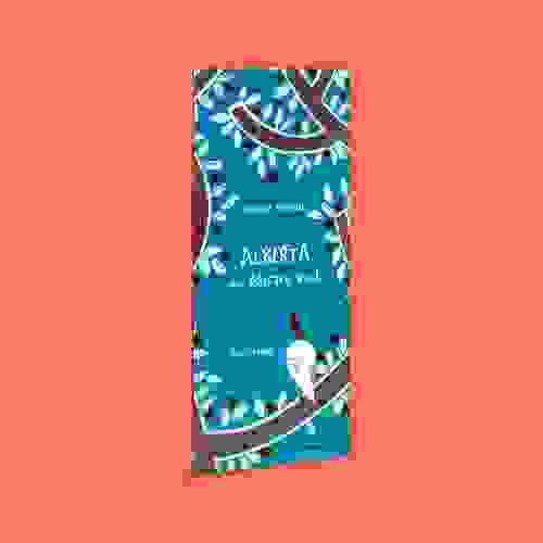 Capa Alberta e o pássaro azul