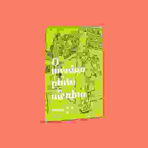Capa O menino e o pinto do menino
