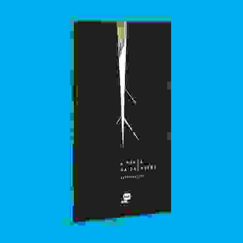 Capa A força da palmeira