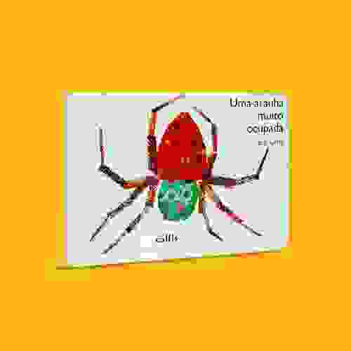 Capa Uma aranha muito ocupada
