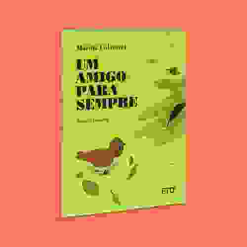 Capa Um amigo para sempre