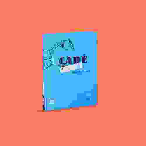 Capa - Cadê a mosca