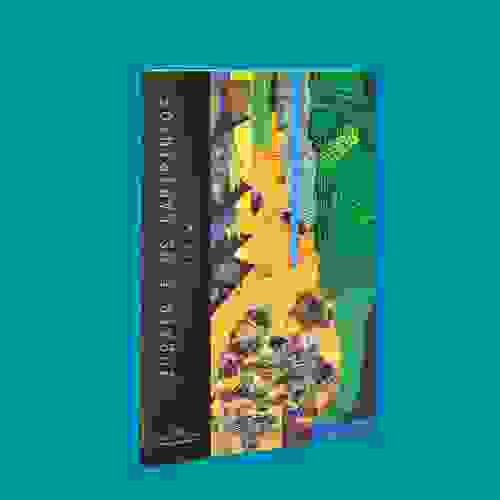 Capa - Zubair e os labirintos