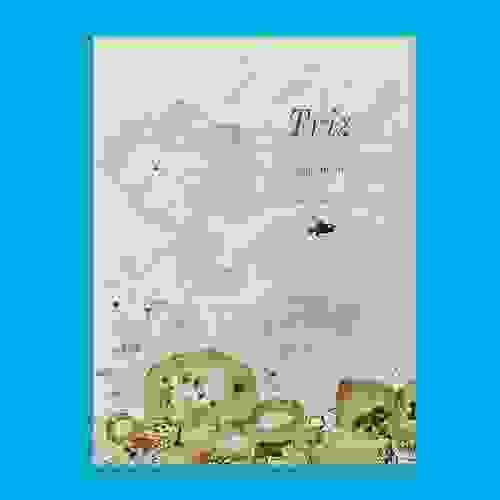 Capa - Triz
